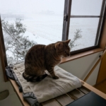 Thumbnail of new posts 023