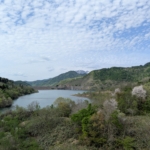 Thumbnail of new posts 186