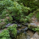 Thumbnail of new posts 115
