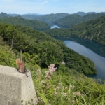 Thumbnail of new posts 176